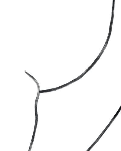 Naakt. (digitale kunst) door Evan Sklar