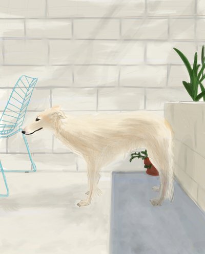 Penny On The Back Porch 2017 (met de hand getekend op een iPad met een Apple potlood) door Evan Sklar