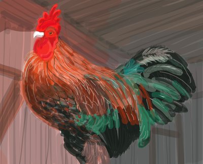 Haan in schuur, 2018 (met de hand getekend op een iPad met een Apple potlood) door Evan Sklar