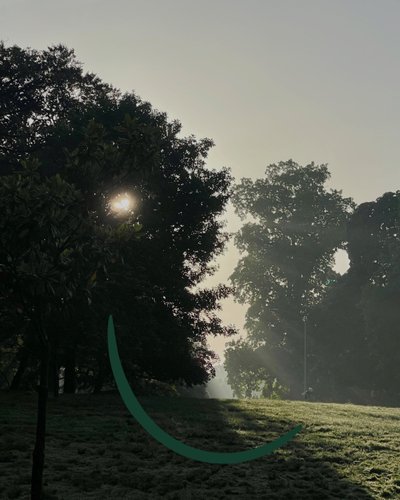 Lachende zonsopgang, c.2020-24 (digitale kunst) door Evan Sklar