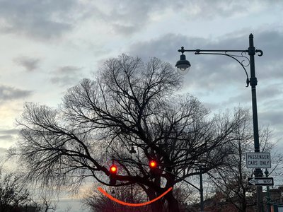Lachende boom en verkeerslichten. Brooklyn (digitale kunst) door Evan Sklar