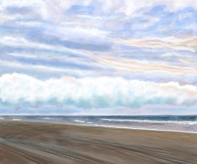 Zwanenstrand door Evan Sklar