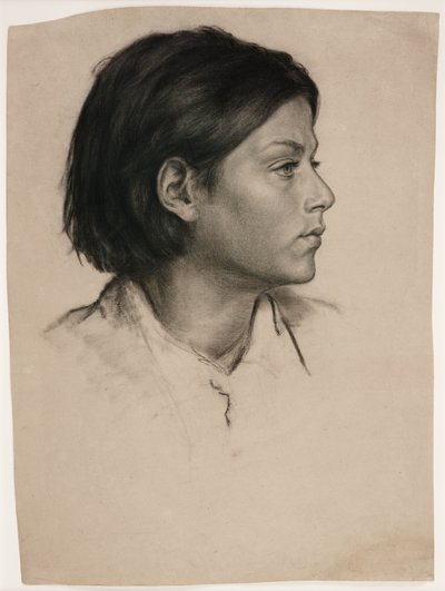 Hoofd van een vrouw, c.1875 door Evelyn De Morgan