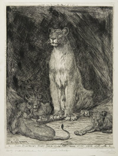 Leeuwin zittend en drie welpen, 1888 door Evert van Muyden