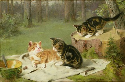 Spelende Kittens door Ewald Honnef