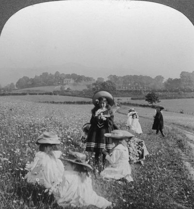Kinderen in een weiland, Keswick, Cumbria door Excelsior Stereoscopic Tours