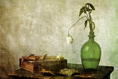 Verwelkte roos – Oud boek door Eyal Amer