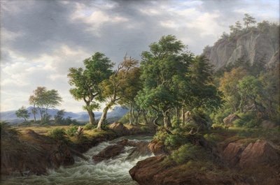 Rotslandschap. Djupadal in Blekinge door F.C. Kiærskou