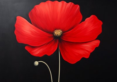 Rode hibiscus bloem door F. Abderrahim