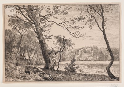Het bos bij Silkeborg richting Fruens Bank door F. Hendriksen