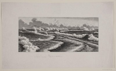 Skagens Gren door F. Hendriksen