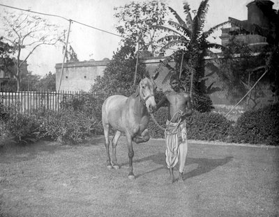 Man met een paard, Alipore, India, 1905-1906 door F. L. Peters
