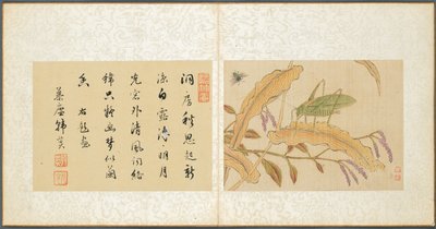 Album van Diverse Onderwerpen, Blad 7, 1600s door Fan Qi