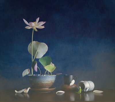 Rustig lotus-stilleven door Fangping Zhou