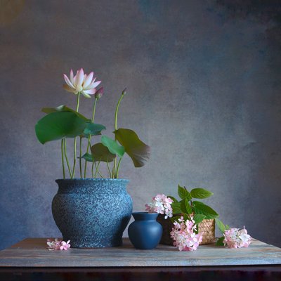 Rustig lotus-stilleven door Fangping Zhou