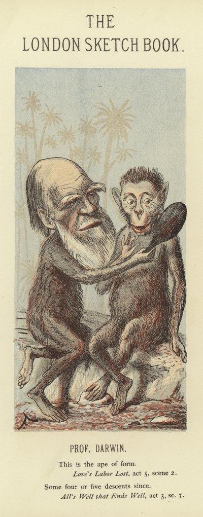 Karikatuur van Charles Darwin door Faustin
