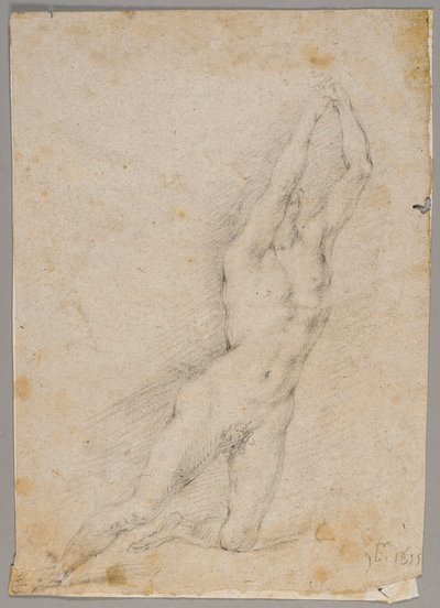 Tekening door Fedele Fischetti