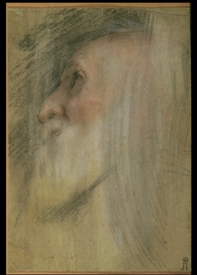 Hoofd van een oude man in profiel, ca. 1575-9 door Federico Barocci
