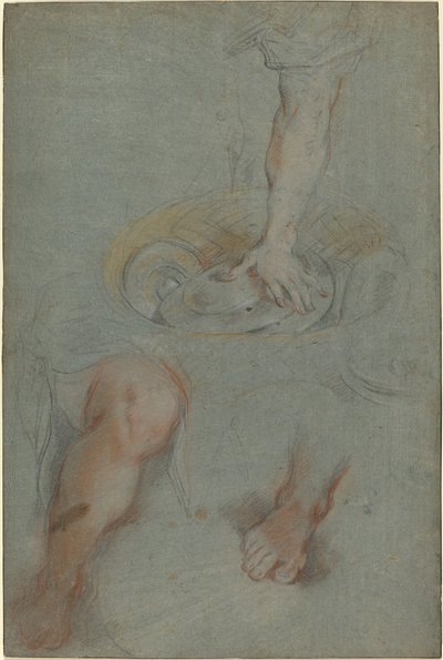 Studies voor een dienaar in "Het Laatste Avondmaal" door Federico Barocci