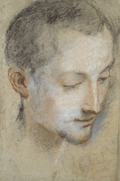 Studie van het Hoofd van een Jonge Man door Federico Barocci