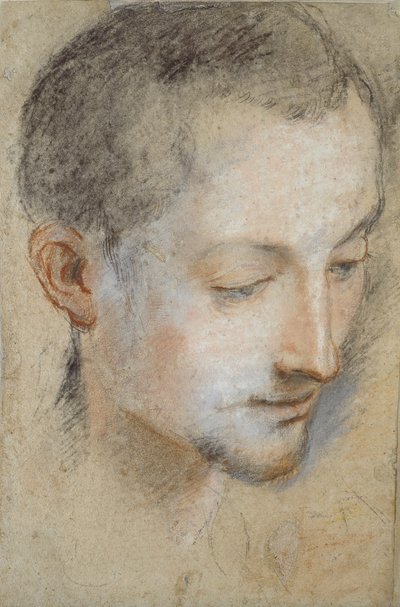 Studie van het hoofd van een jonge man door Federico Barocci