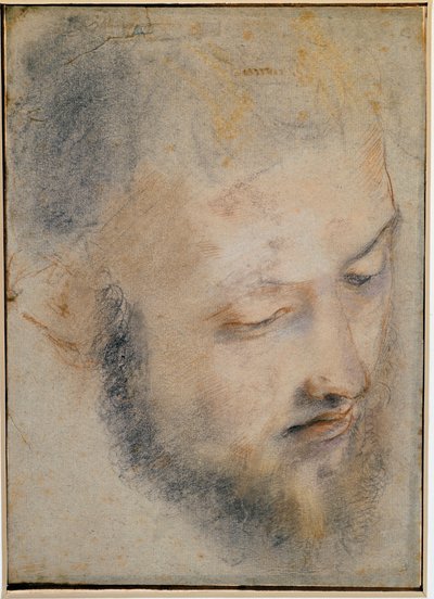 Studie van hoofd, tekening door Barocci door Federico Barocci
