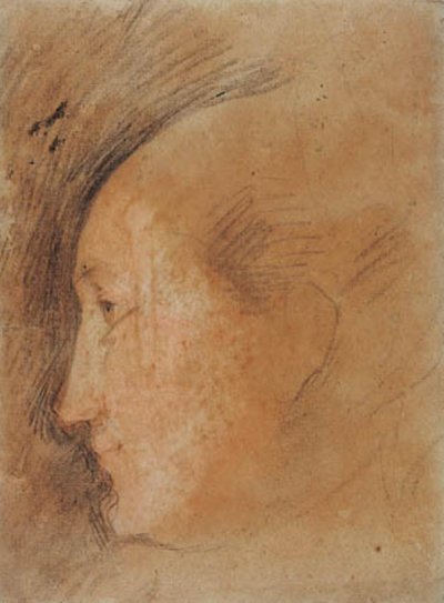 Hoofd van een vrouw in profiel naar links door Federico Barocci