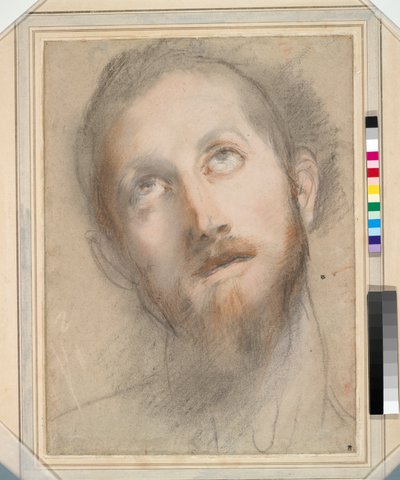 Studie voor het Hoofd van Christus door Federico Fiori Barocci or Baroccio
