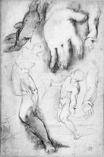 Studie voor de figuur van St. Franciscus door Federico Fiori Barocci or Baroccio