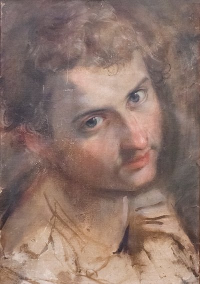 Studie voor het hoofd van St. Judas door Federico Fiori Barocci or Baroccio