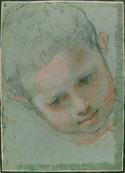 Het hoofd van een jongen, c.1586-89 door Federico Fiori Barocci or Baroccio