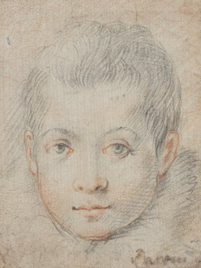 Hoofd van een Jongen door Federico Zuccaro
