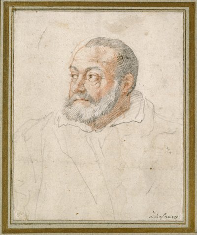 Portret van een man door Federico Zuccaro