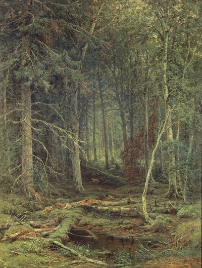 Moeras in het Bos, Herfst, 1872 door Fedor Aleksandrovich Vasiliev