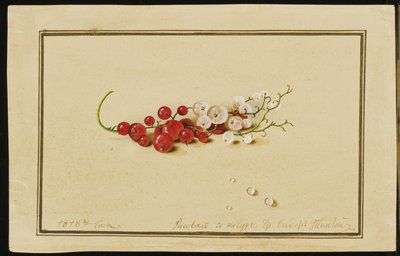 Rode en witte bessen, 1818 door Fedor Petrovich Tolstoy