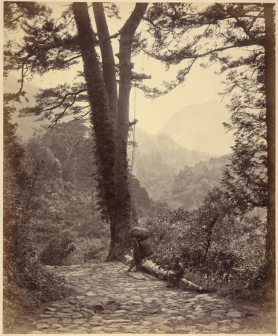 Uitzicht op de Hakone Pas door Felice Beato