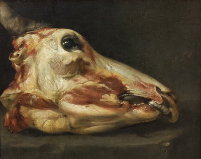 Gevilde kop van een os door Felice Boselli