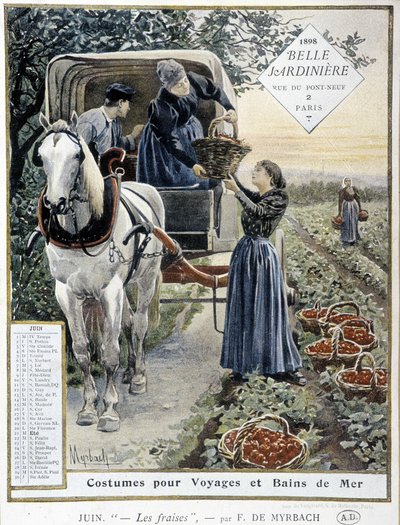 Aardbeien plukken - door Myrbach, Kalender 