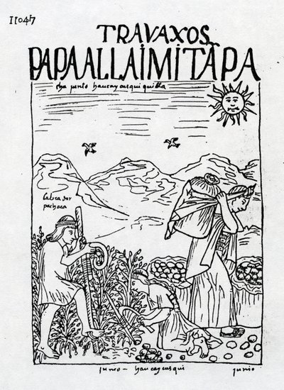 De maand juni, aardappelen oogsten door Felipe Huaman Poma de Ayala
