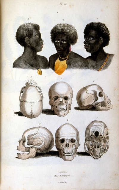 Antropologische illustratie van het Ethiopische ras door Felix-Edouard Guerin