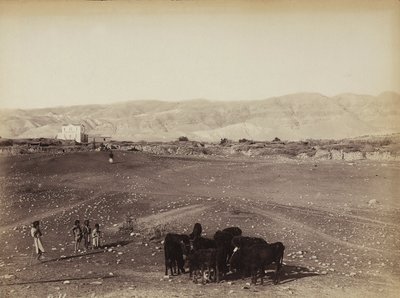 Een rotsachtig gebied met kinderen en grazende dieren, in Egypte door Félix Bonfils