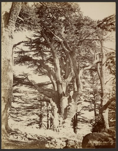  door Félix Bonfils
