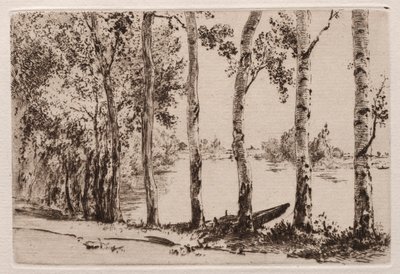 Aspens aan de oever van de Seine door Felix Bracquemond