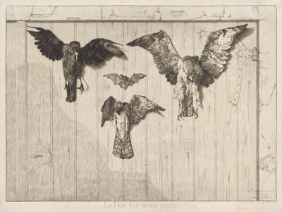 Vogels genageld aan een schuurdeur (Le haut d