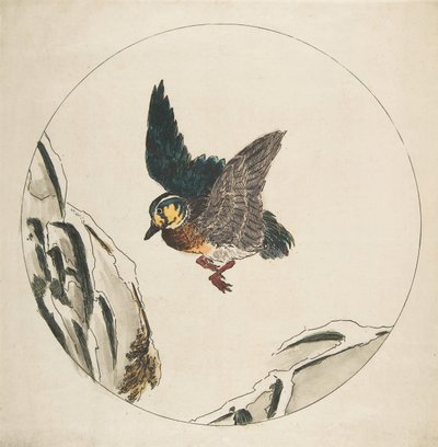 Decoratie voor een bord: Een eend die over met sneeuw bedekte takken vliegt, 1850-1914 door Felix Bracquemond