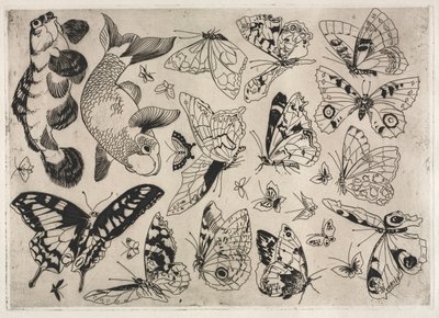 Dinerservies (Rousseau servies): Vlinders en vis (nr. 16) door Felix Bracquemond
