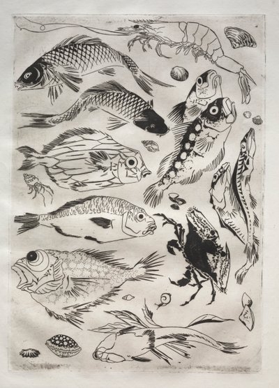Dinerservies (Rousseau-servies): Vis (nr. 24) door Felix Bracquemond