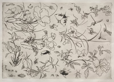 Dinerservies (Rousseau servies): Bloemen en insecten (nr. 15) door Felix Bracquemond