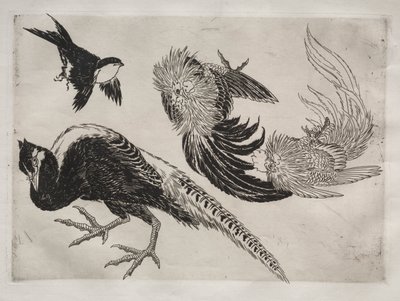 Dinerservies (Rousseau servies): Fazanten en vogel (nr. 18) door Felix Bracquemond