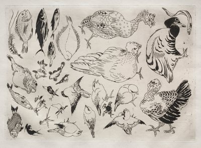 Servies Rousseau: Eenden, vissen, enz. nr. 12, 1866 door Felix Bracquemond